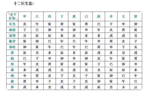 12長生|十二长生（古代的一种运势统称）